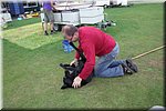 20100807_opruimen_kamp_04.jpg