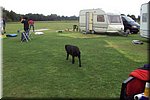 20100807_opruimen_kamp_11.jpg